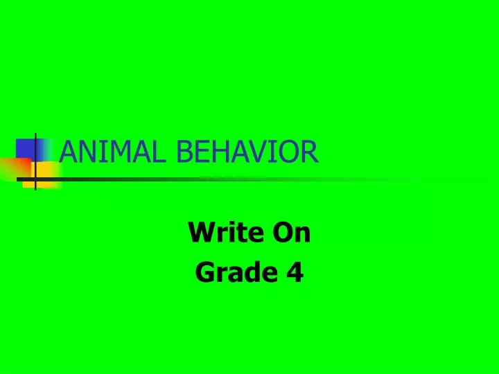 animal behavior