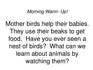 Morning Warm- Up! A baby fox is called a kit. Today we will read about a fox and a kit that live at the zoo. What othe