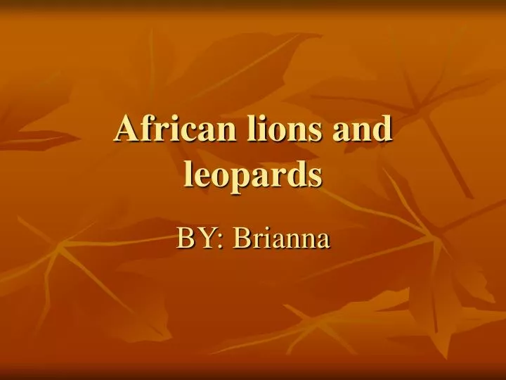 african lions and leopards