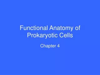 Functional Anatomy of Prokaryotic Cells