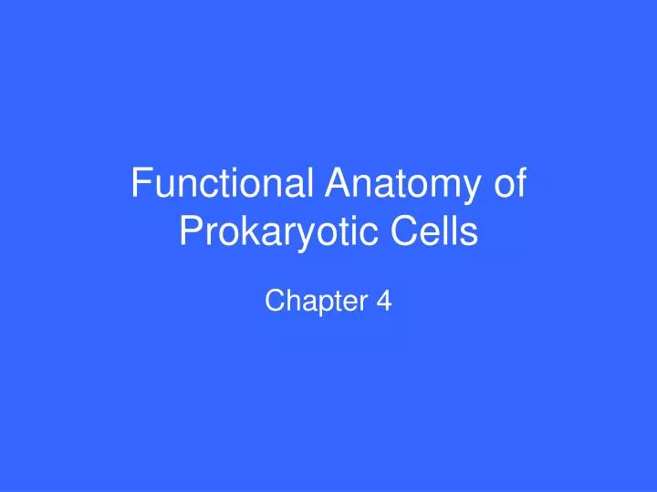 functional anatomy of prokaryotic cells