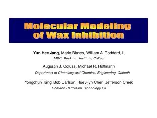 Molecular Modeling of Wax Inhibition