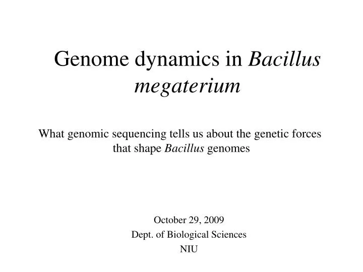 genome dynamics in bacillus megaterium