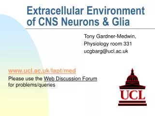 Extracellular Environment of CNS Neurons &amp; Glia