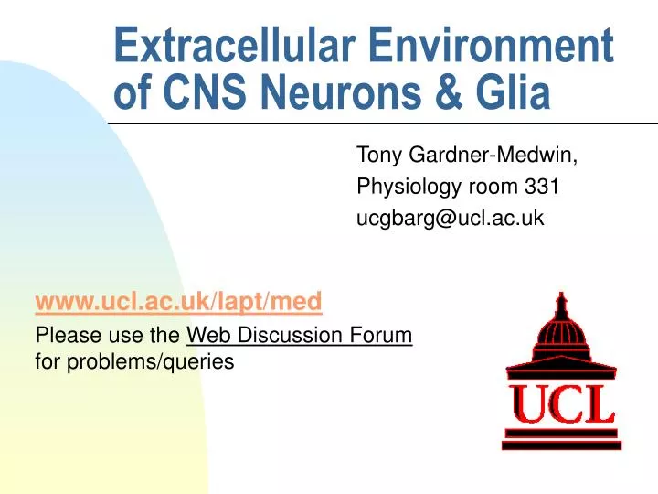 extracellular environment of cns neurons glia