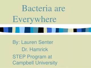Bacteria are Everywhere