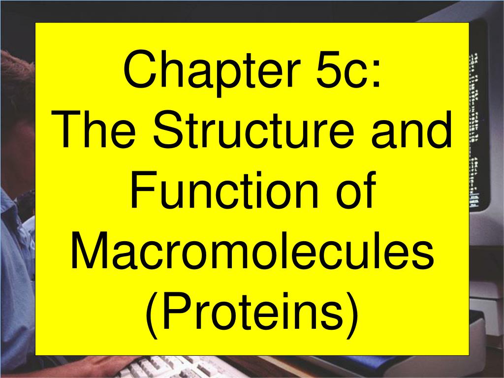 PPT - Chapter 5c: The Structure and Function of Macromolecules ...