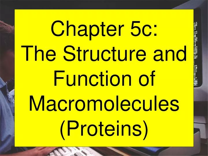 chapter 5c the structure and function of macromolecules proteins
