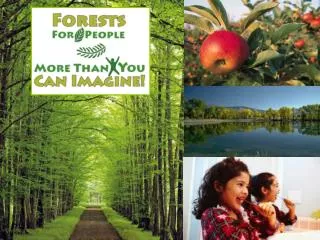 Forests For People More Than You Can Imagine!
