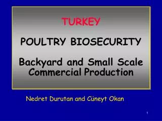 TURKEY POULTRY BIOSECURITY Backyard and Small Scale Commercial Production