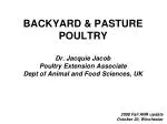BACKYARD &amp; PASTURE POULTRY - slide 1
