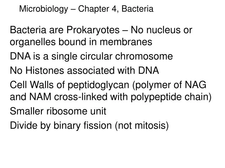 microbiology chapter 4 bacteria