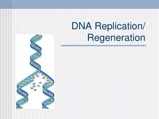 DNA Replication/ Regeneration