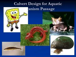 Culvert Design for Aquatic Organism Passage