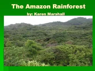 The Amazon Rainforest by: Karen Marshall