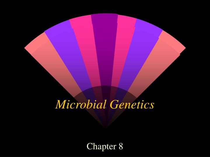 microbial genetics