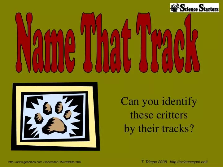 can you identify these critters by their tracks