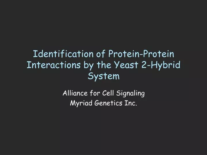 identification of protein protein interactions by the yeast 2 hybrid system