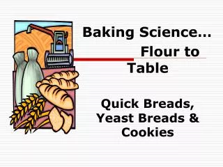 Baking Science… 		Flour to Table Quick Breads, Yeast Breads &amp; Cookies