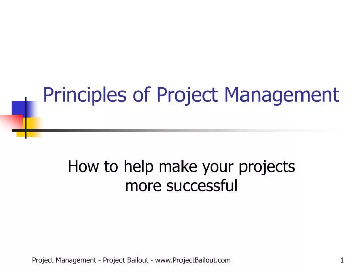principles of project management