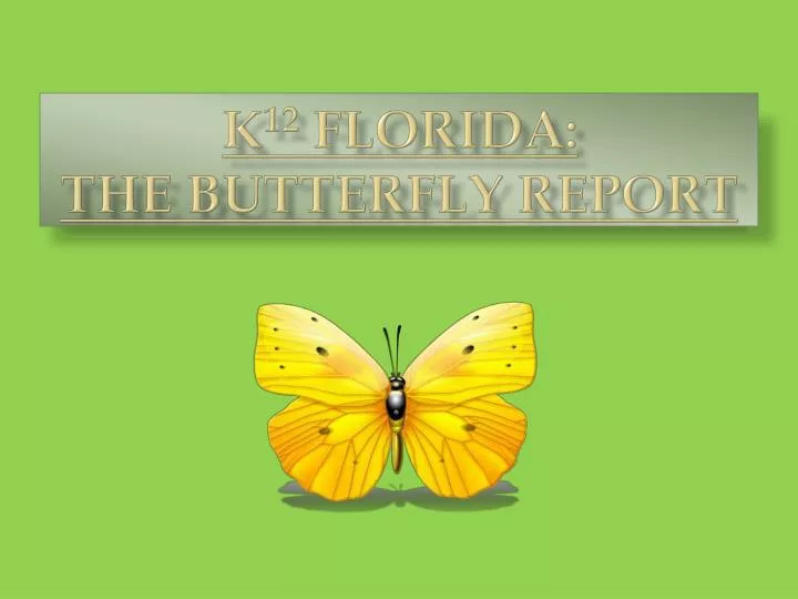 k 12 florida the butterfly report