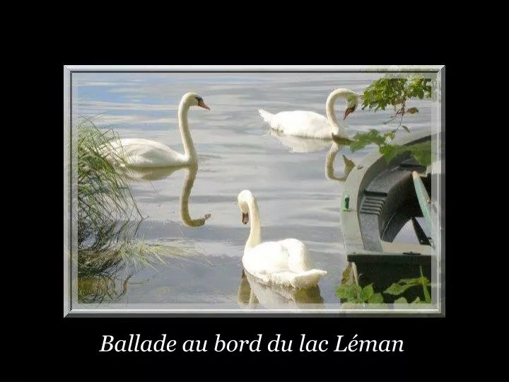 ballade au bord du lac l man