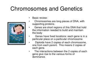 Chromosomes and Genetics