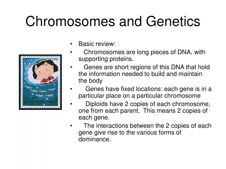 chromosomes and genetics