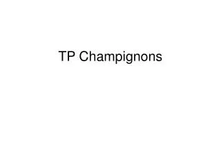 tp champignons