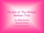 Parable of The Chinese Bamboo Tree