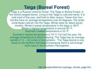 Taiga (Boreal Forest)