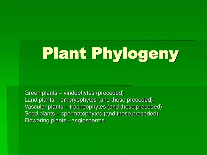 plant phylogeny