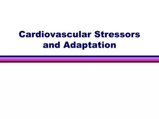Cardiovascular Stressors and Adaptation