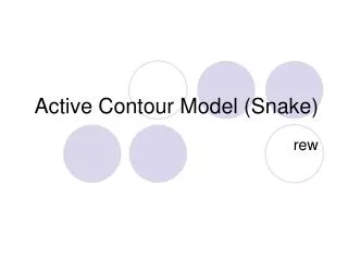 Active Contour Model (Snake)