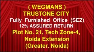 trustone city noida extension, call 9654953105