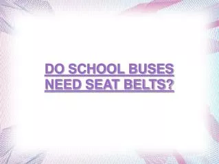 Elvis Kovacic: Do school buses need seat belts?