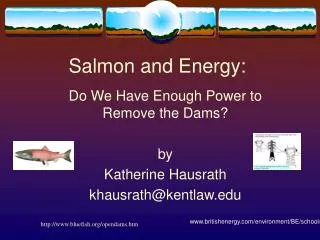 Salmon and Energy: