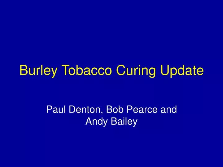 burley tobacco curing update