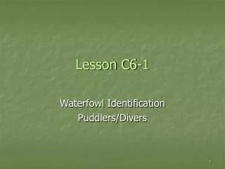 Lesson C6-1