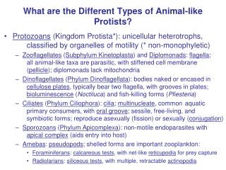 What are the Different Types of Animal-like Protists?