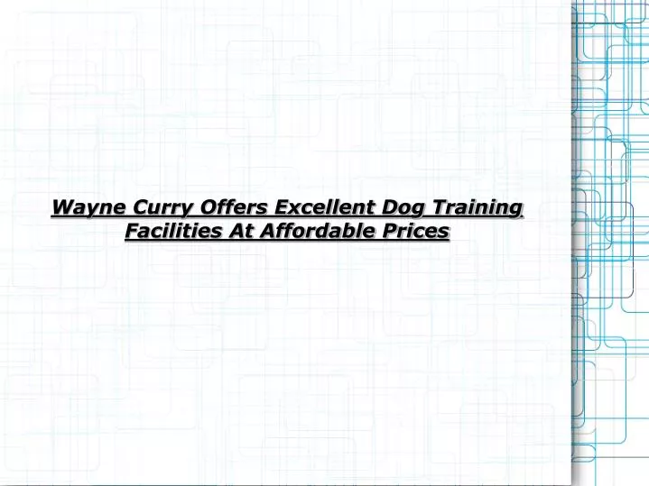 wayne curry offers excellent dog training facilities at affordable prices