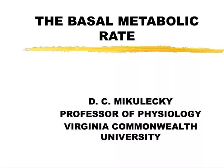 the basal metabolic rate