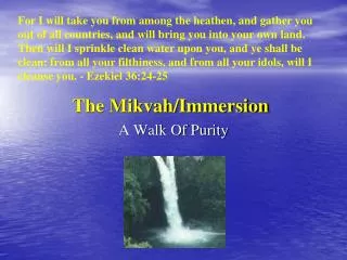 The Mikvah/Immersion