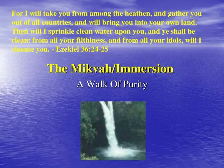 the mikvah immersion