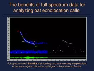 The benefits of full-spectrum data for analyzing bat echolocation calls.