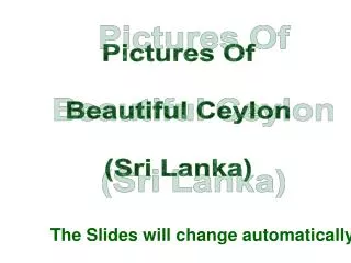 Pictures Of Beautiful Ceylon (Sri Lanka)