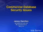 Commercial Database Security Issues - slide 1
