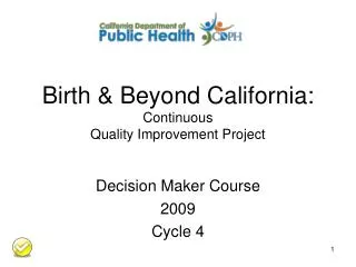 Birth &amp; Beyond California: Continuous Quality Improvement Project