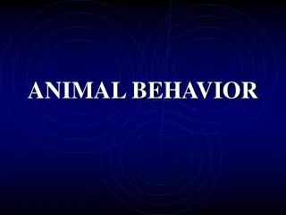 ANIMAL BEHAVIOR