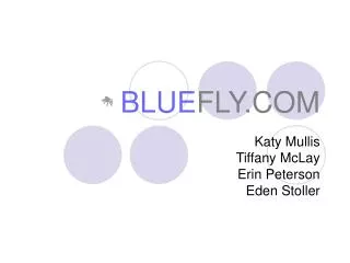 BLUE FLY.COM